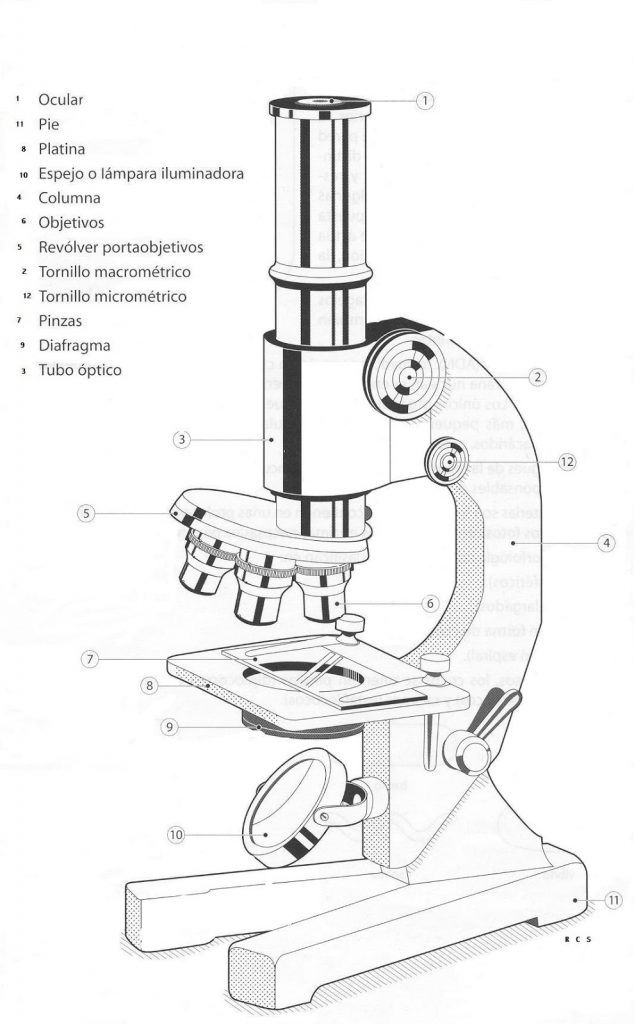 microscopio-partes-634x1024